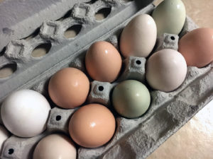 Carton of Multicolored Eggs for Craft Project Gypsum Easter Eggs