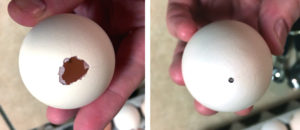 How to Empty Our Eggs for Craft Project Gypsum Easter Eggs